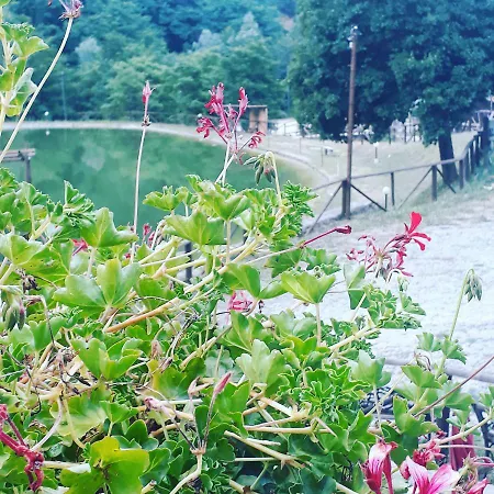 Гостевой дом Taverna Del Dolmen *