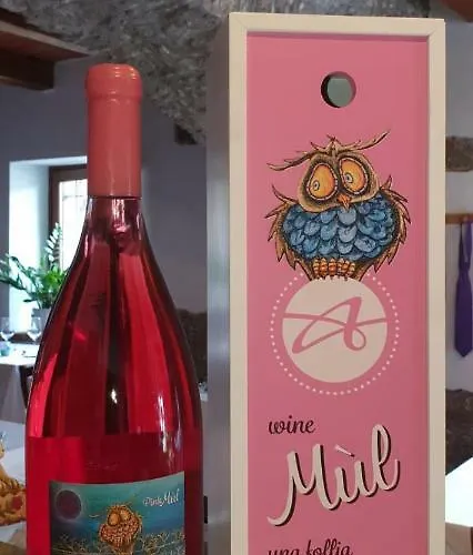 Taverna Del Dolmen 게스트하우스