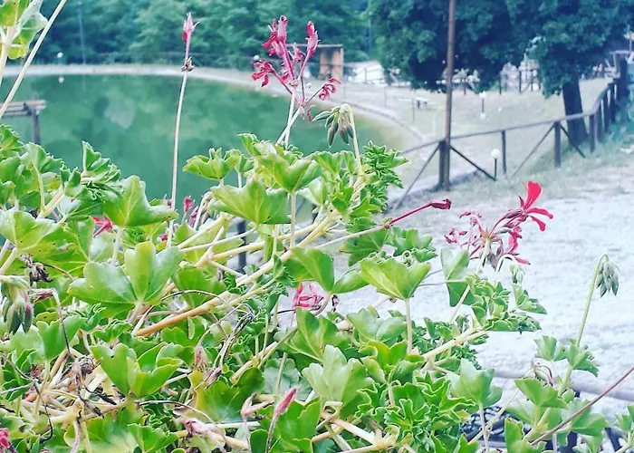 Maison d'hôtes Taverna Del Dolmen *